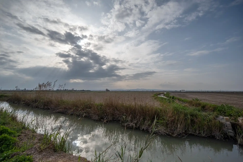 Canals Albufera