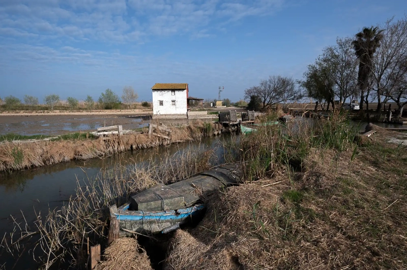 Fisher boats at Albufera