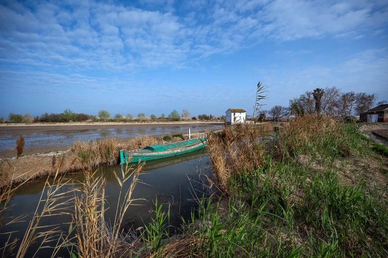 Classic Albufera scene