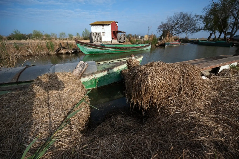 Boat tour Valencia Albufera