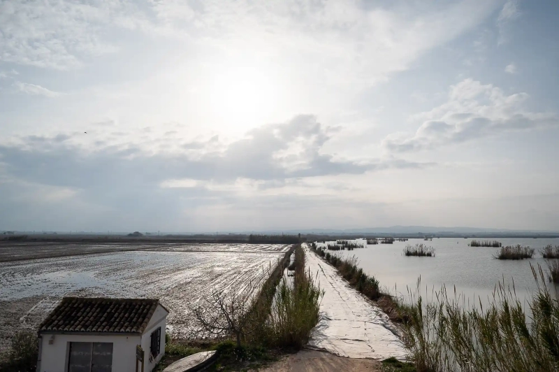 Albufera Lake in Valencia