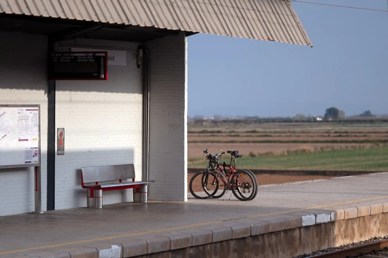 Bike tour Albufera lake