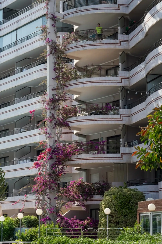 Bouganville building
