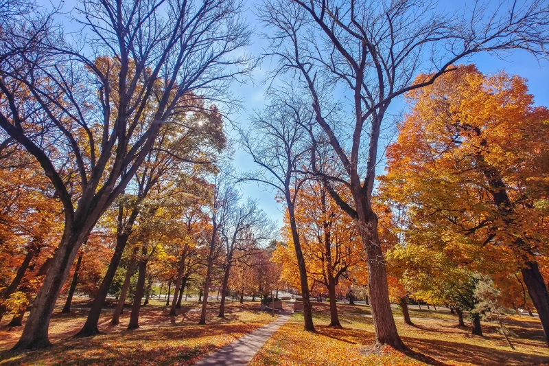 Fall colors are best in Springfield at Wittenberg University
