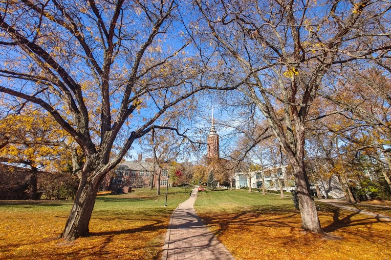 Fall at Wittenberg Campus