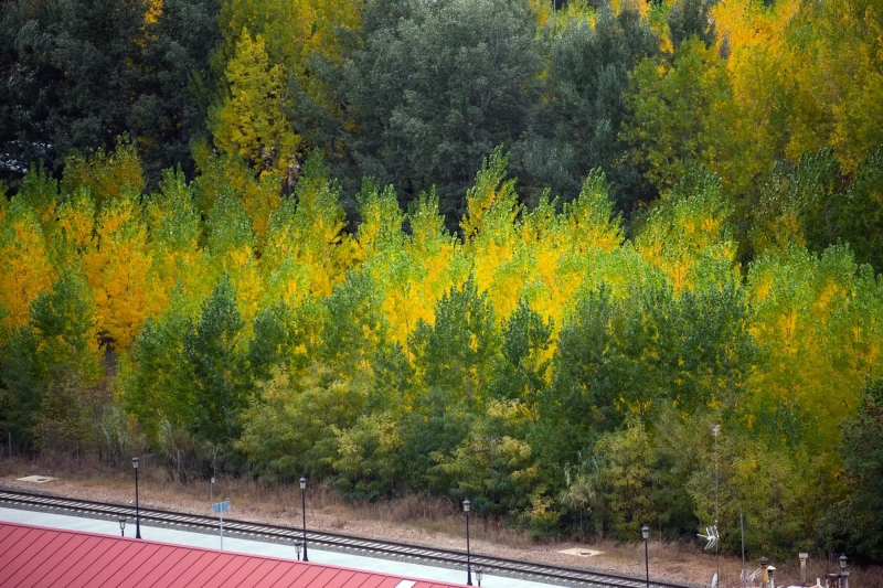 Fall in Teruel