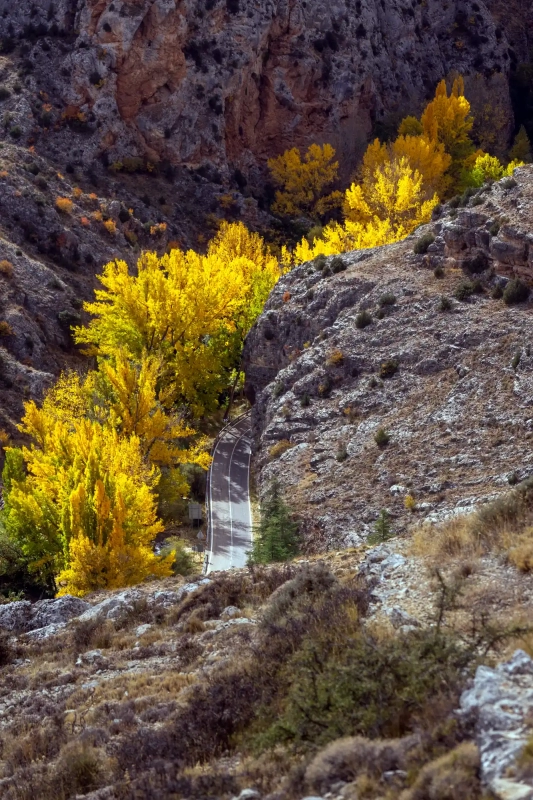 Rock and fall colors
