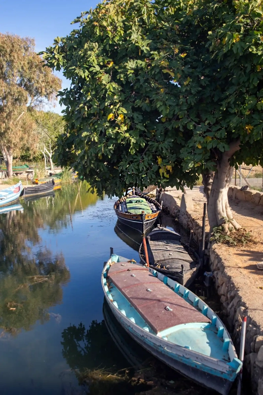Old Albufera Port 