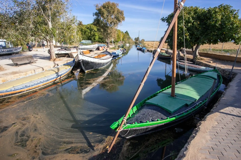 Barca Albufera