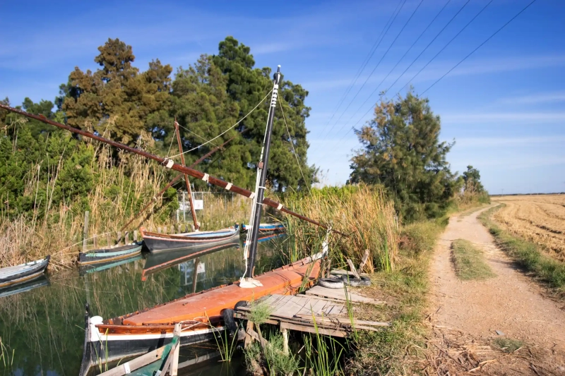 Albufera canals with boats