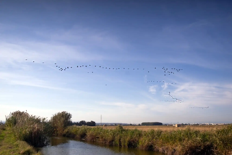 Hiking at the Albufera Lake