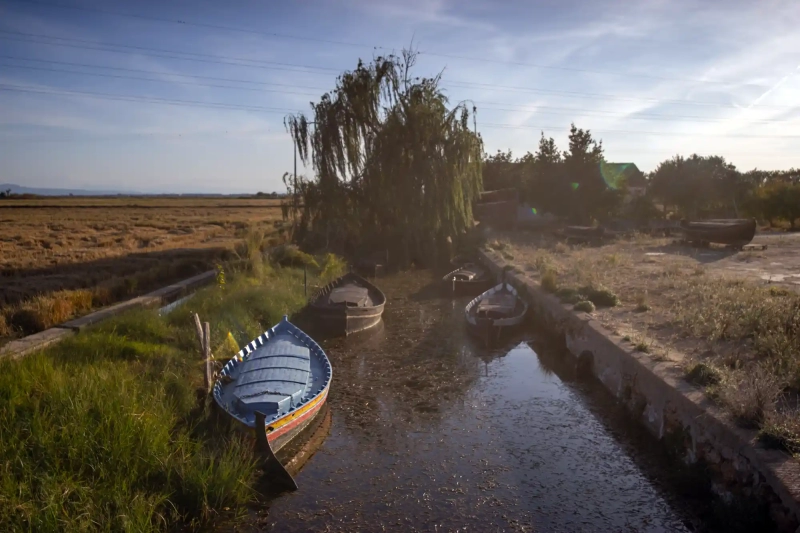 Vintage Albufera Photo