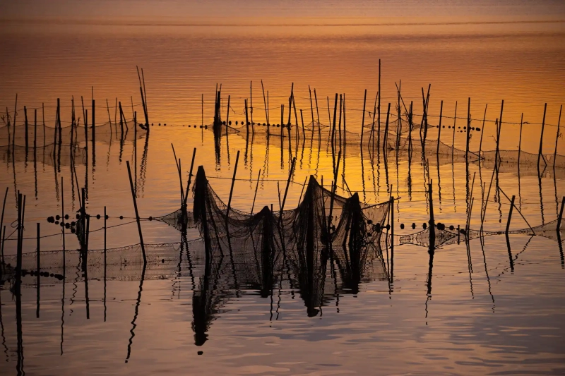 Fishing nets at the Albufera Lake