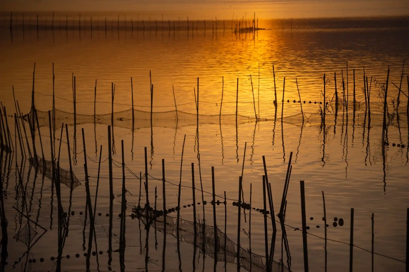 Largo Albufera Puesta de sol