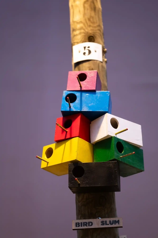 Bird slum houses in Valencia