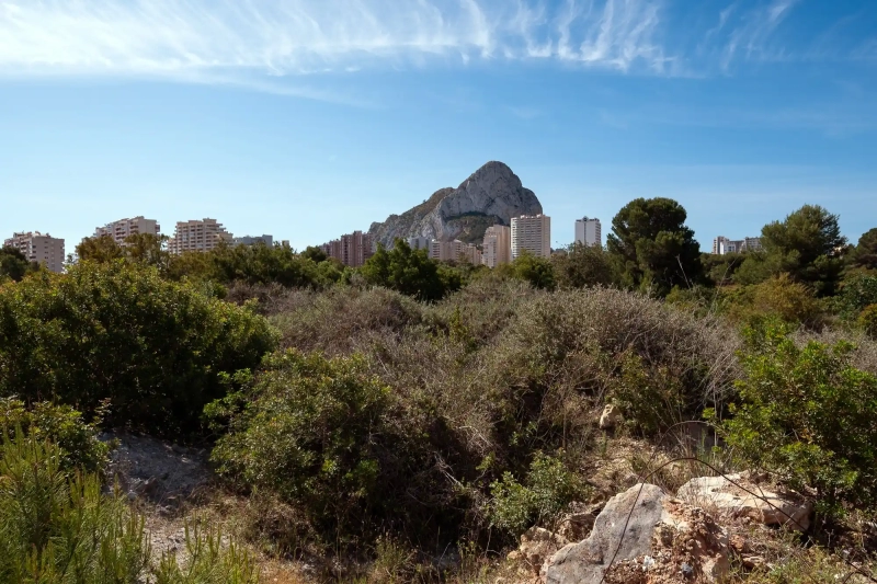 Calpe Scrubs