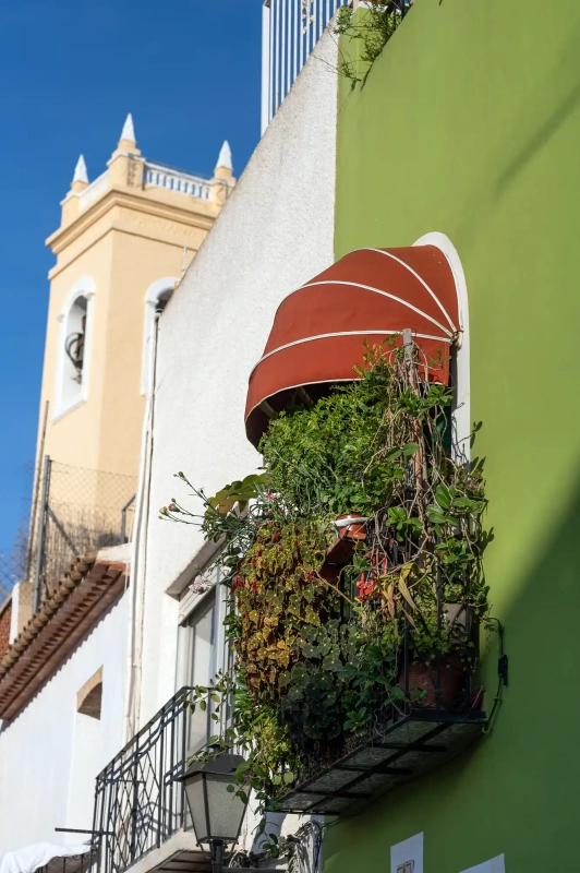 Spanish plant balcony