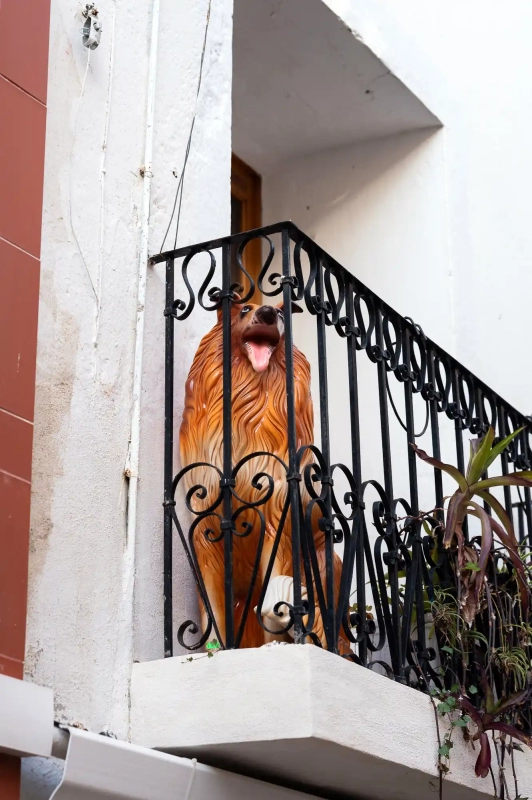 Ceramic watch dog