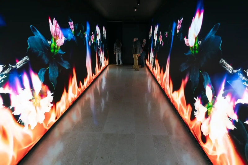 Fire Falla art